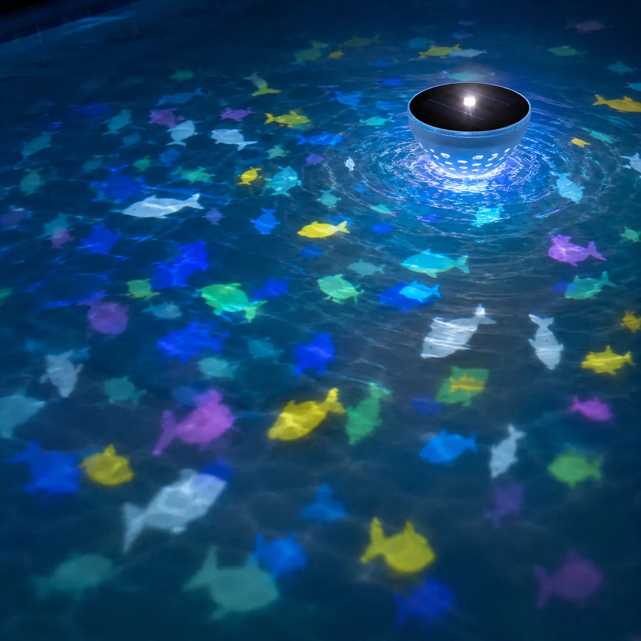 Solar pool light creating colorful fish reflections across the water
